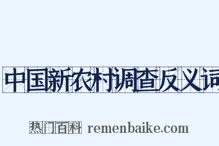 中国新农村调查反义词是什么意思的图片